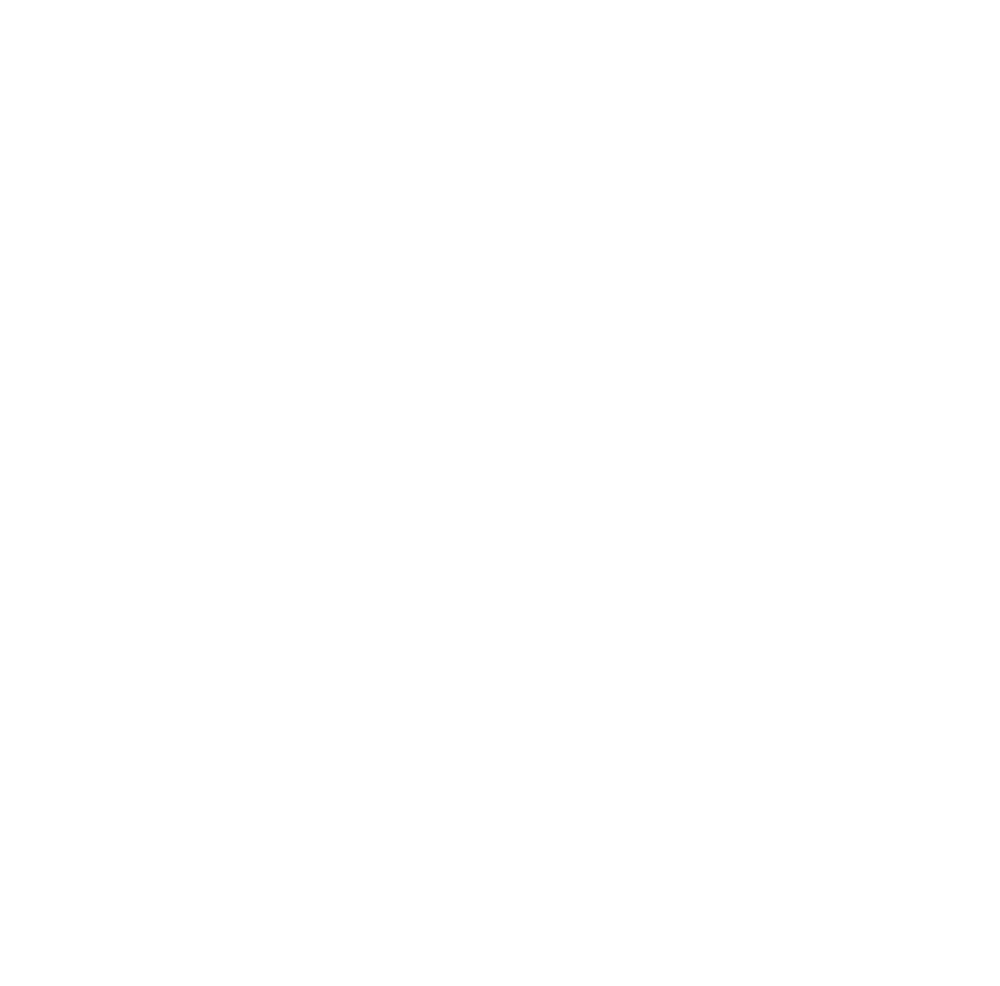 Delas Fest